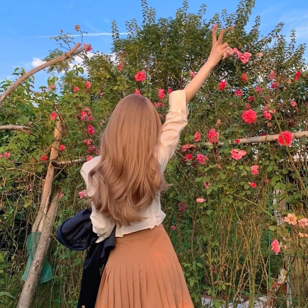 芬妮的旅程
